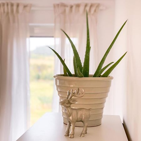 Ferienwohnung Eifelglueck Kruchten 외부 사진